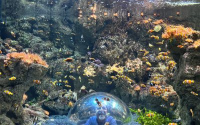 La ilusión también cuida: Jornada de ocio para familias con niños en cuidados paliativosdad